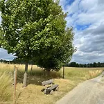 Urlaub Im Oberstuebchen