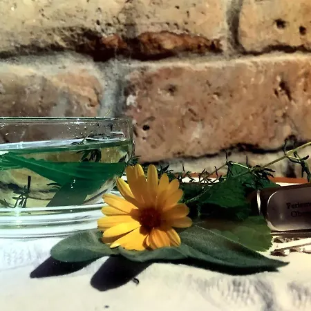 Urlaub Im Oberstuebchen Apartmán *