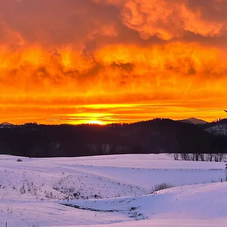 Urlaub Im Oberstuebchen * Lichtenhain (Sebnitz)