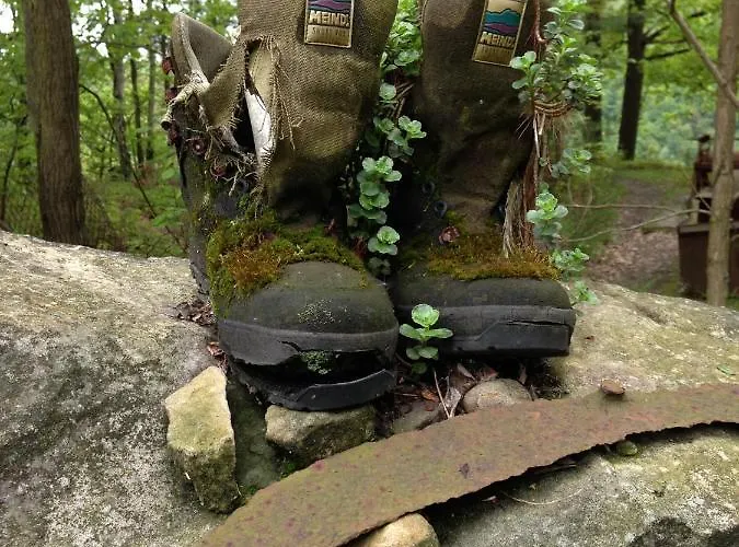 Urlaub Im Oberstuebchen * Lichtenhain (Sebnitz)